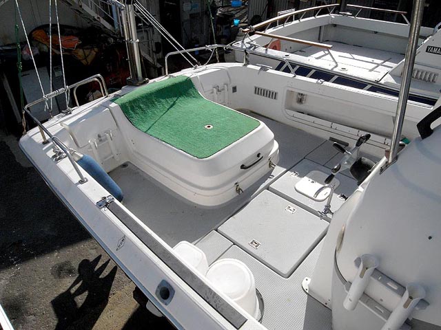 ll19fbf023